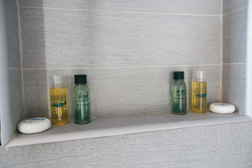 Shower, free toiletries, hair dryer, slippers