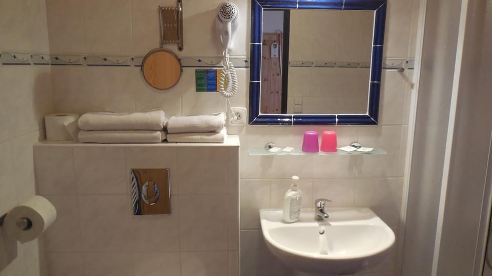 Shower, free toiletries, hair dryer, towels