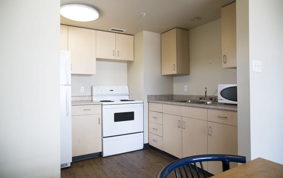 Apartment, 1 Bedroom, Kitchenette | Private kitchen | Full-size fridge, microwave