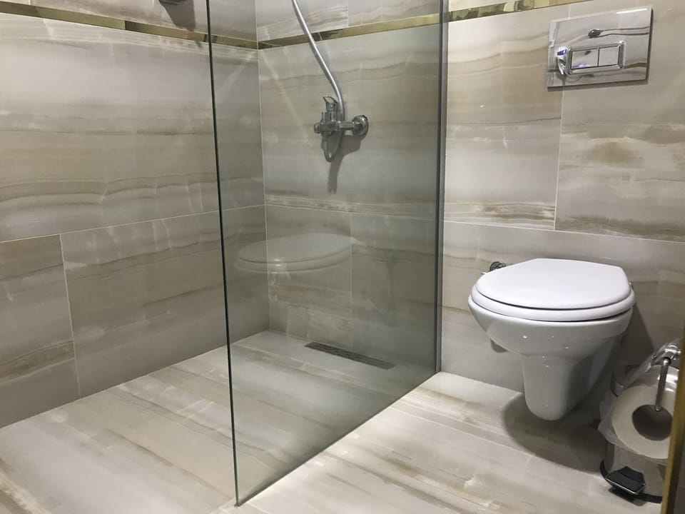 Shower, free toiletries, hair dryer, slippers