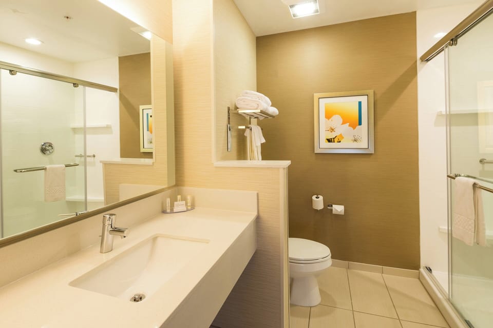 Combined shower/tub, free toiletries, hair dryer, towels