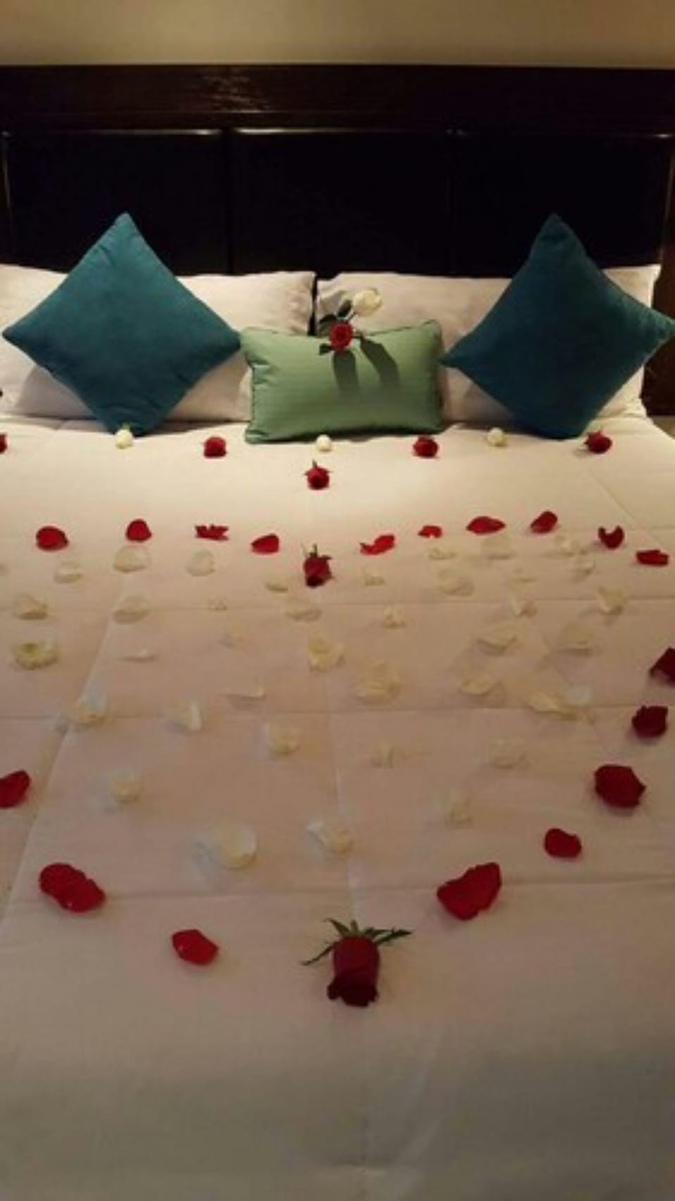 Deluxe Room | Living area | 40-inch flat-screen TV with satellite channels, TV