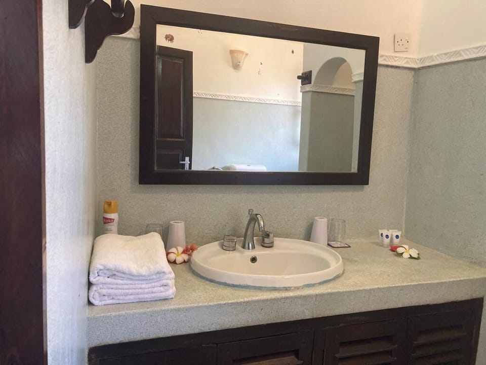 Deluxe Suite | Bathroom | Shower, free toiletries, towels, soap