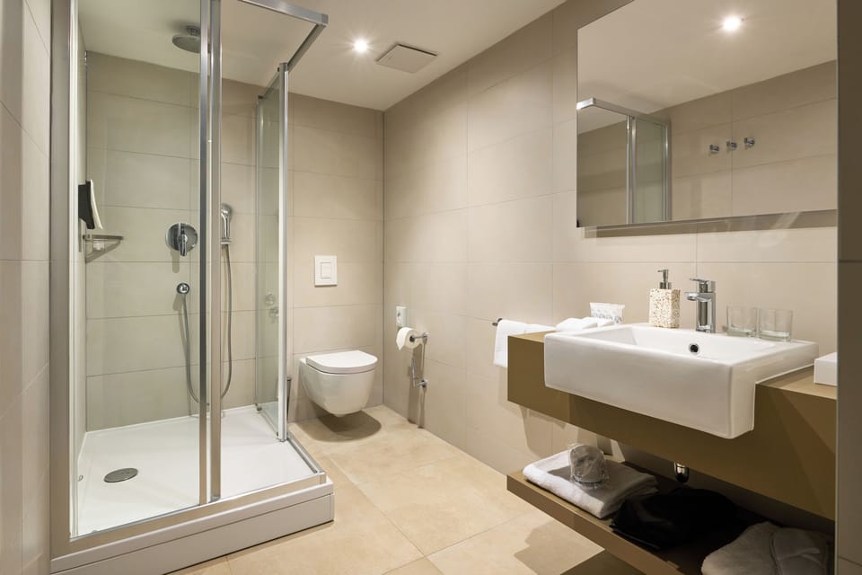 Shower, free toiletries, hair dryer, towels