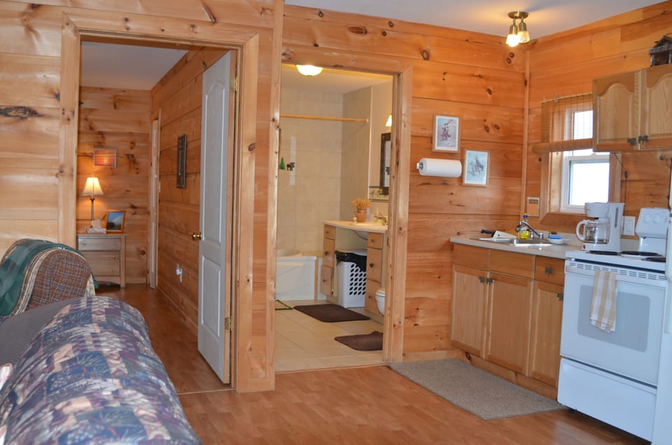 Cottage, 1 Bedroom, Ocean View | Living room | 32-inch flat-screen TV with satellite channels, TV, fireplace