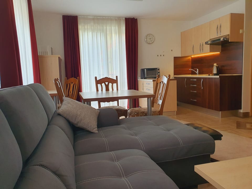 Basic Apartment, 1 Bedroom | Living area | 55-inch flat-screen TV with cable channels, TV