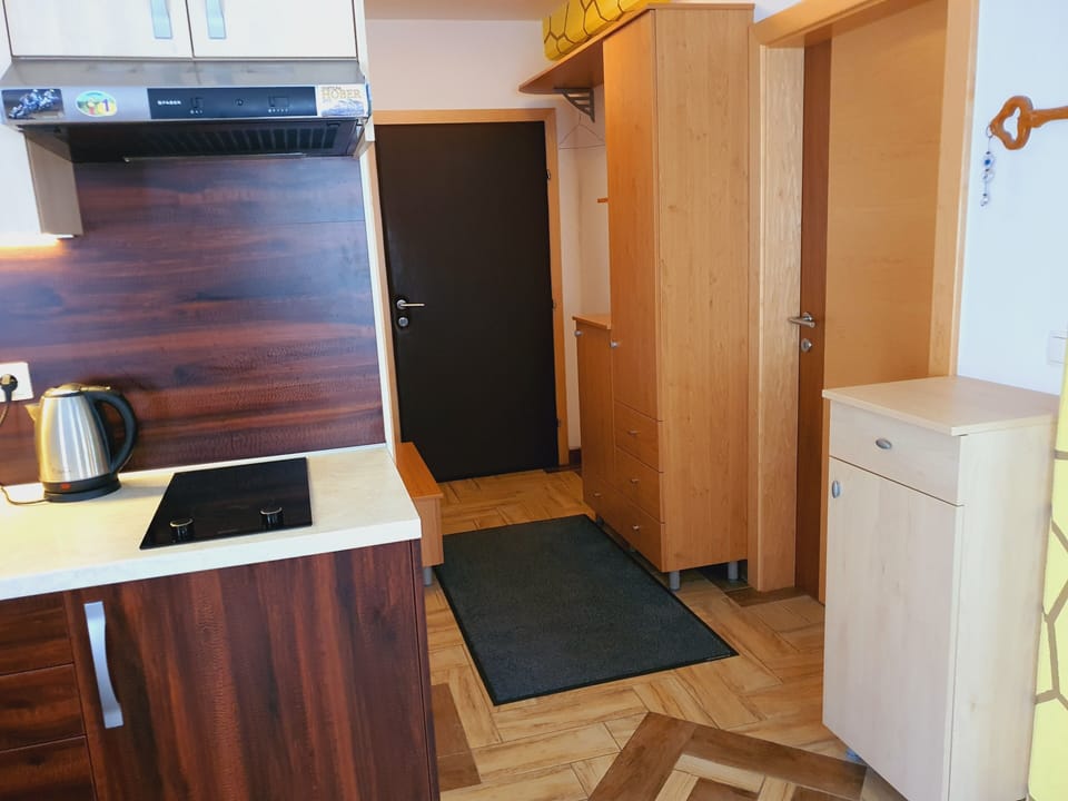 Basic Apartment, 1 Bedroom | Living area | 55-inch flat-screen TV with cable channels, TV