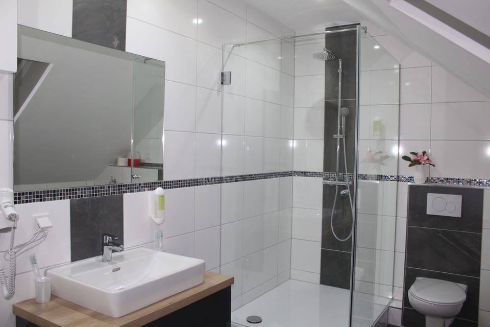 Deluxe Double Room | Bathroom | Shower, free toiletries, hair dryer, towels