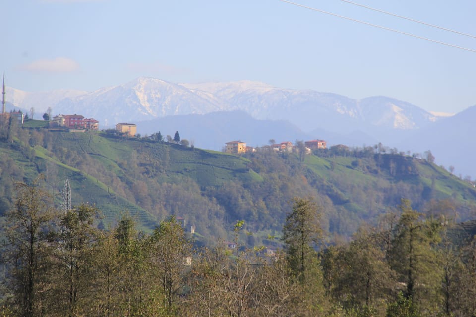 Mountain view
