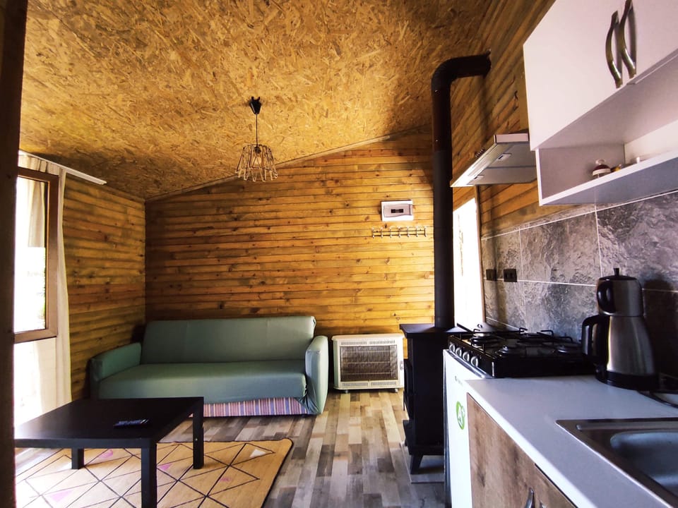Comfort Chalet | Private kitchen | Cleaning supplies