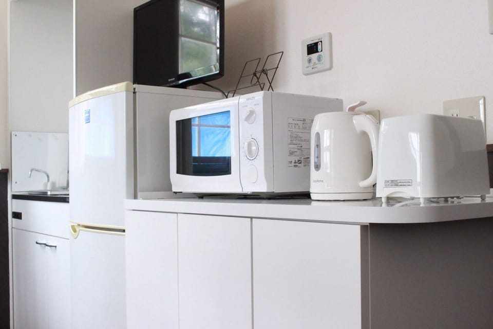 Full-size fridge, microwave, oven, stovetop