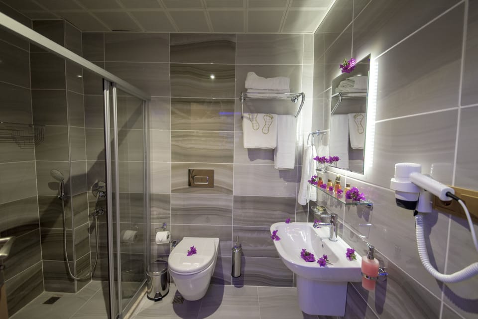 Double Room | Bathroom | Shower, free toiletries, hair dryer, slippers