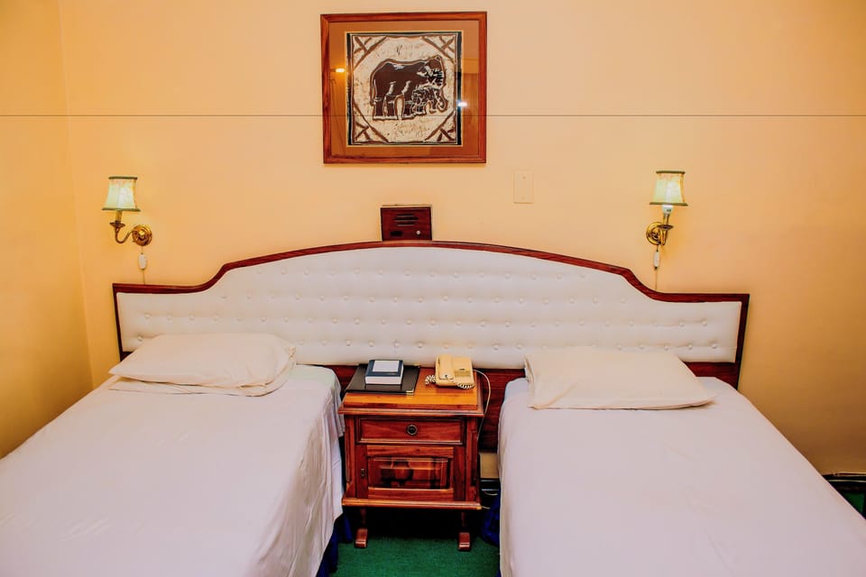 Executive Double or Twin Room | Desk, free WiFi