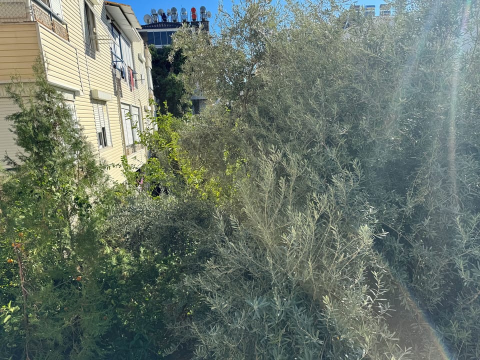 Family Apartment, 2 Bedrooms | View from room