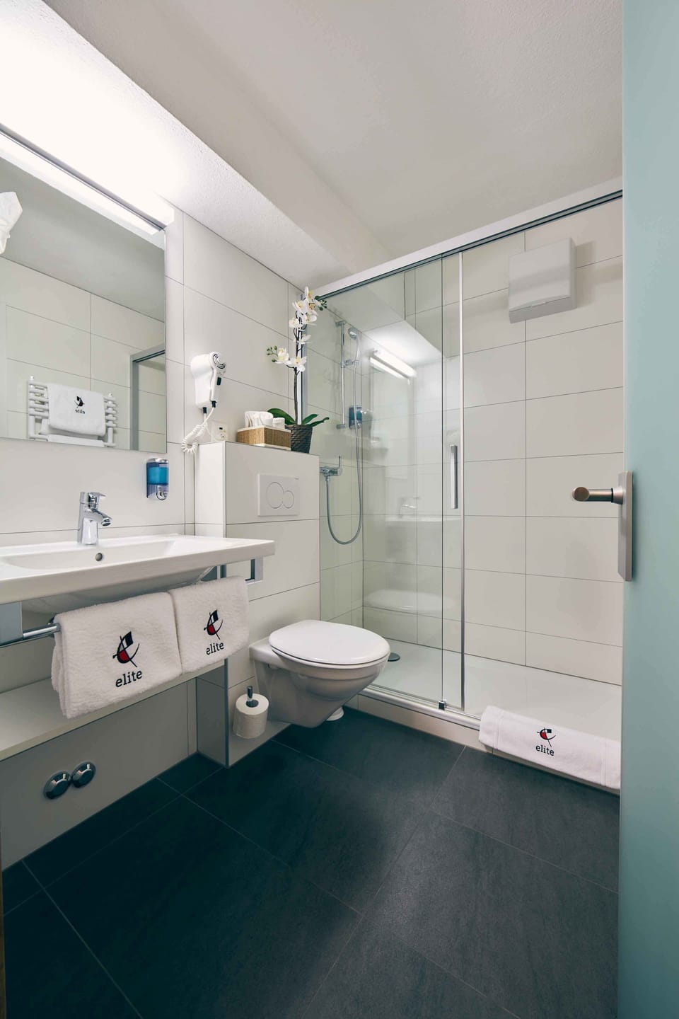 Shower, hair dryer, towels
