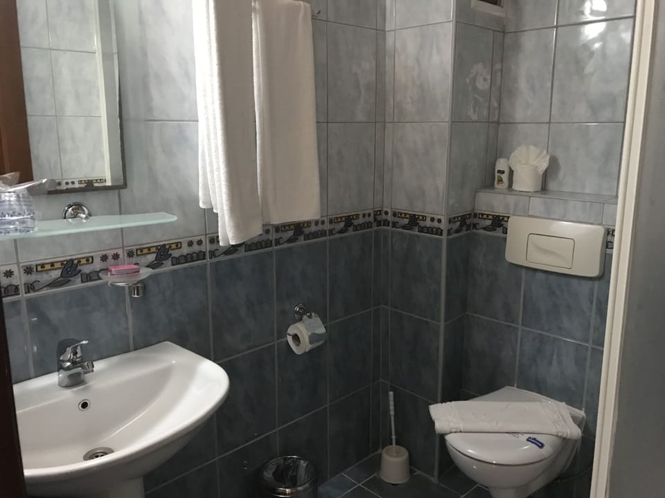 Standard Double or Twin Room, Multiple Beds | Minibar, desk, iron/ironing board, WiFi
