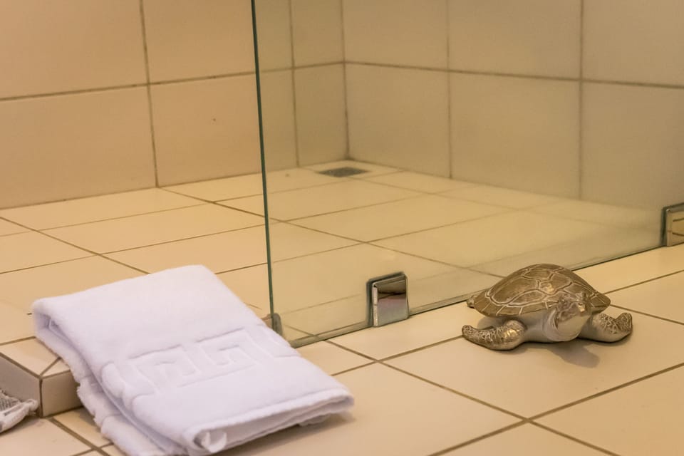 Queen Room with Garden View (Room 3) | Bathroom | Shower, free toiletries, hair dryer, towels