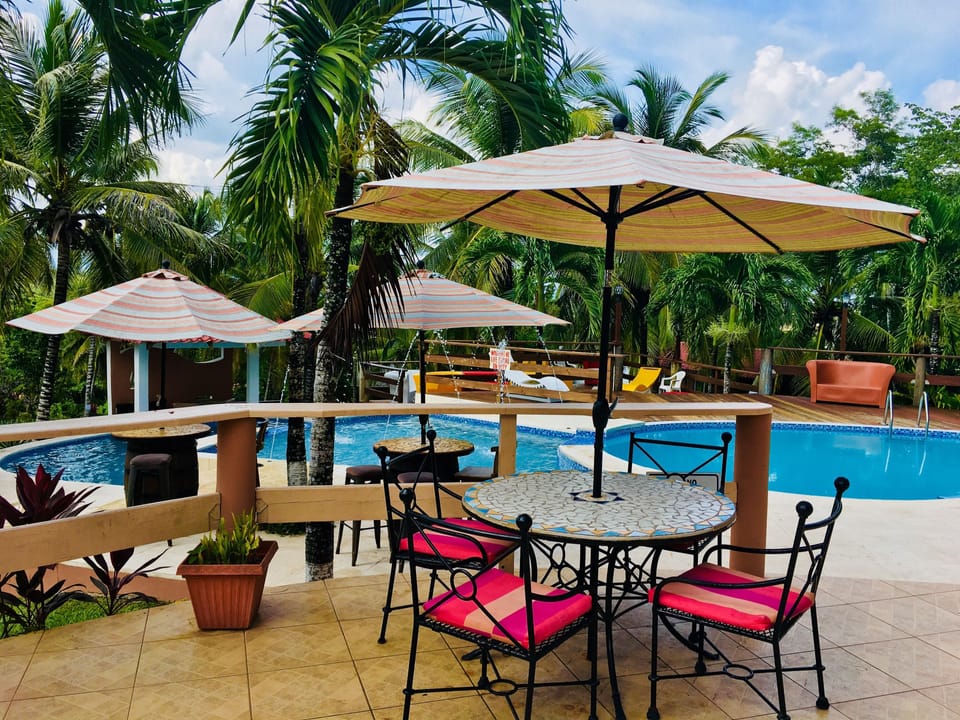 Outdoor pool, pool umbrellas, sun loungers