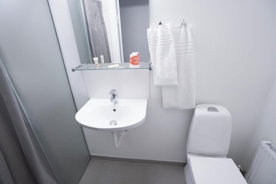 Single Room | Bathroom | Free toiletries, hair dryer, towels