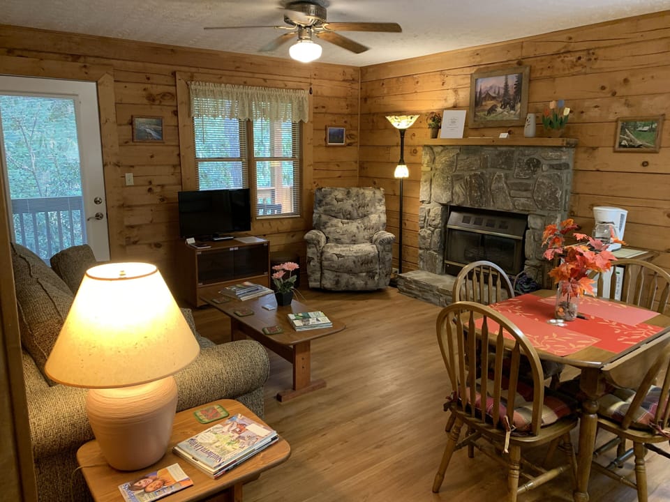 Cabin #2 | Living area | Fireplace
