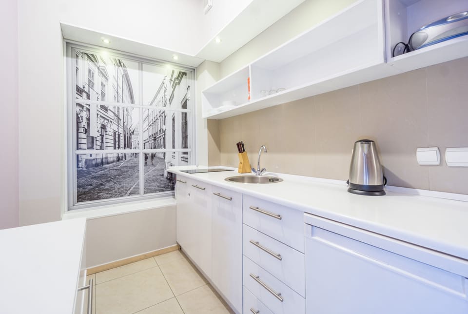 Apartment (Zamenhofa 4 Street) | Private kitchen | Fridge, stovetop, electric kettle, cookware/dishes/utensils