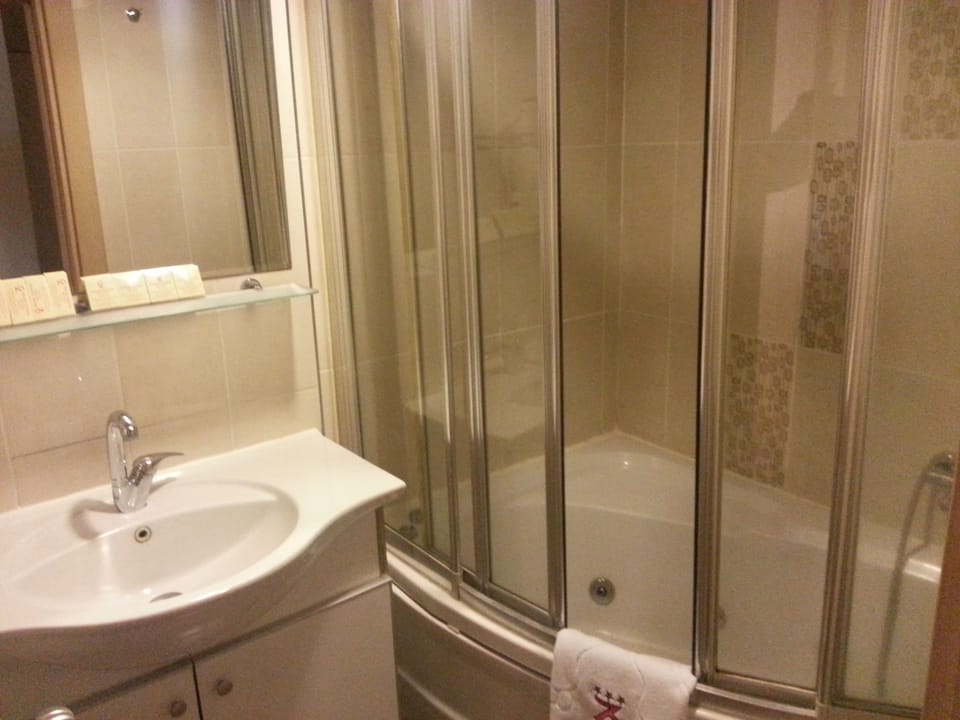 Standard Double or Twin Room | Bathroom | Free toiletries, hair dryer, slippers, towels