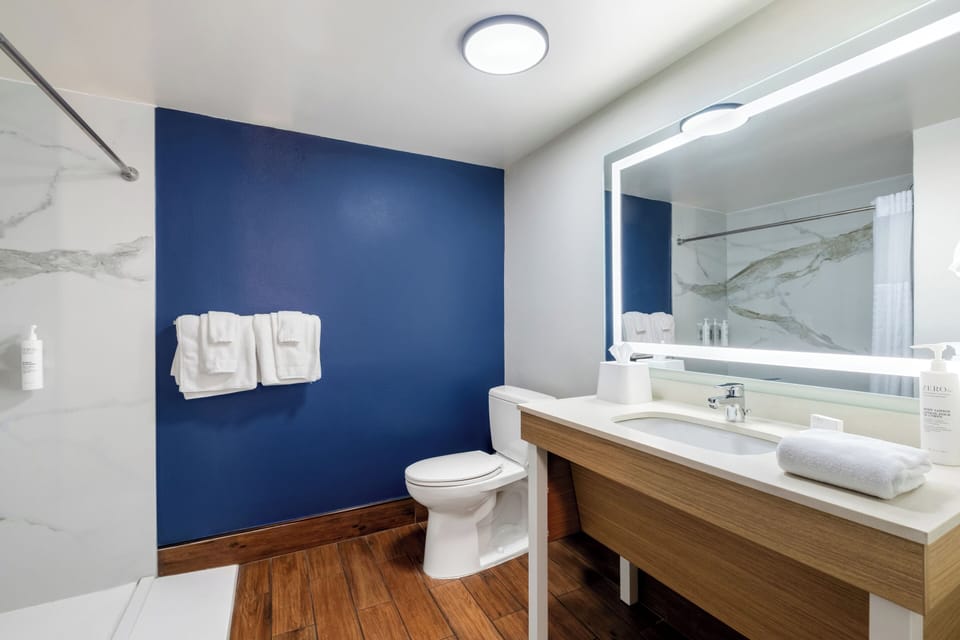 Room, 1 King Bed, Accessible (Roll-In Shower, Mobility & Hearing) | Bathroom | Combined shower/tub, free toiletries, hair dryer, towels