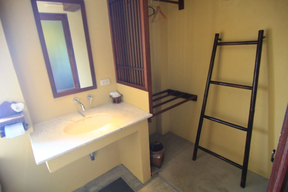 Deluxe Room | Bathroom | Shower, free toiletries, towels