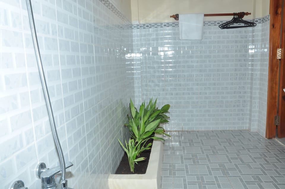 Shower, free toiletries, hair dryer, slippers