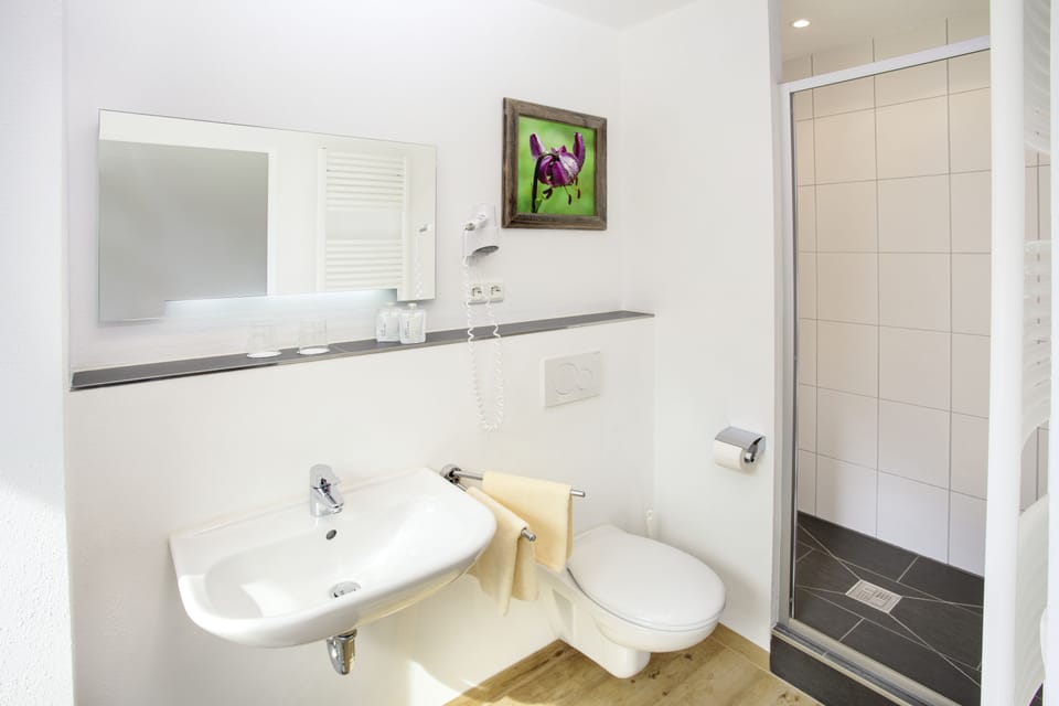 Shower, free toiletries, hair dryer, towels