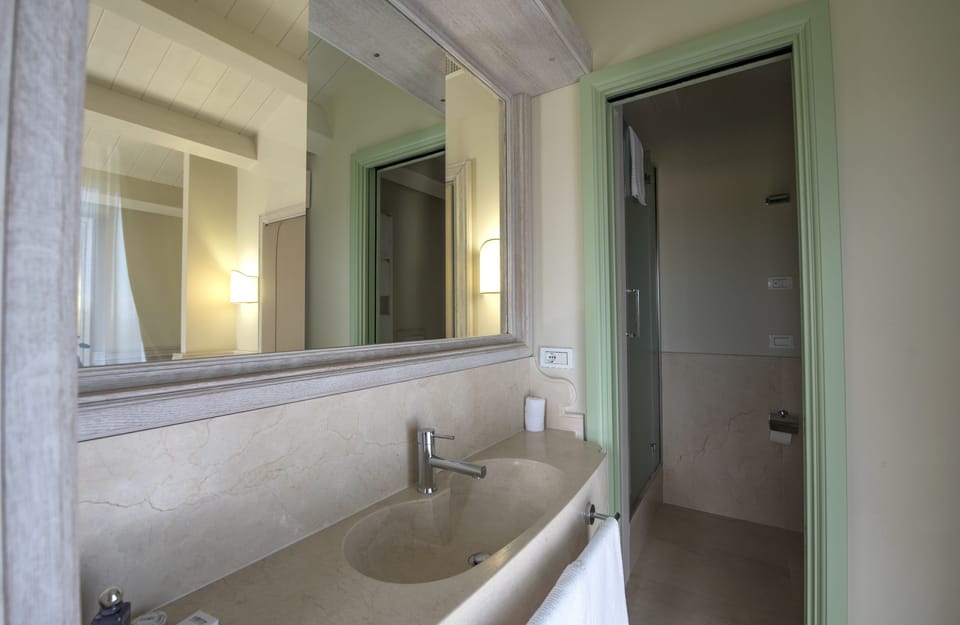 Deluxe Double Room | Bathroom | Shower, free toiletries, hair dryer, slippers