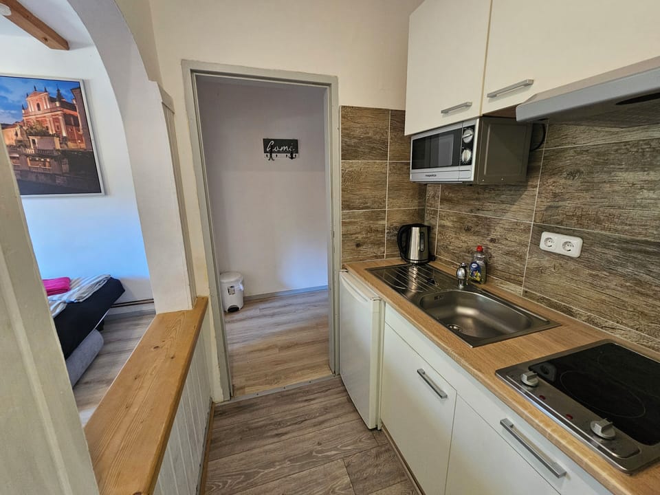 Apartment, Balcony | Private kitchen