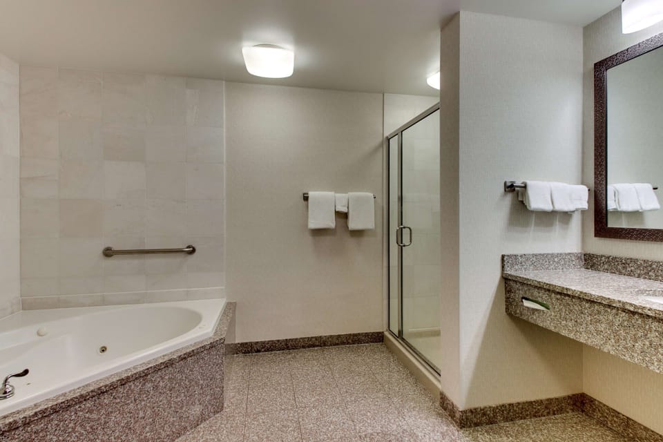 Combined shower/tub, free toiletries, hair dryer, towels