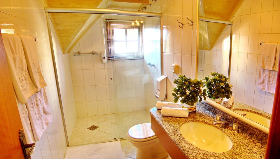 Shower, free toiletries, hair dryer, towels