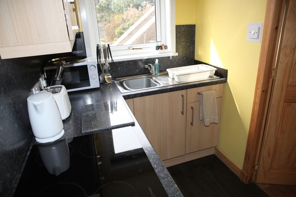 Apartment, 1 Bedroom | Private kitchen | Full-size fridge, microwave, oven, stovetop