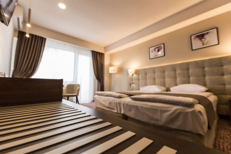 Minibar, iron/ironing board, free WiFi