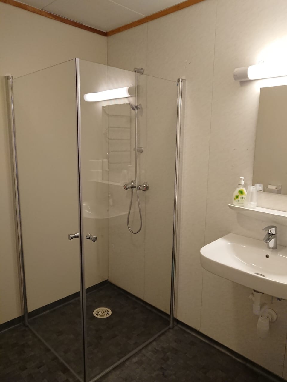 Basic Quadruple Room | Bathroom | Shower, free toiletries, hair dryer, towels
