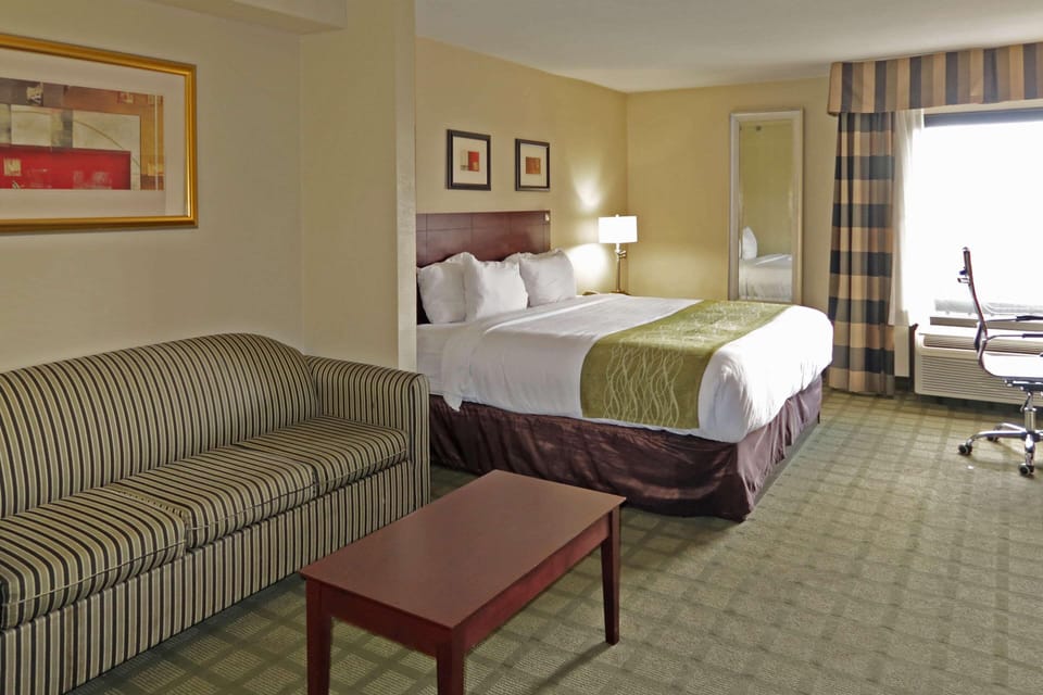 Suite, 1 King Bed, Non Smoking | Desk, laptop workspace, iron/ironing board, free WiFi