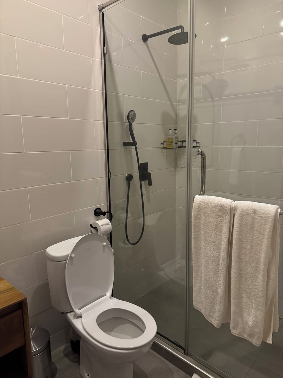 Shower, free toiletries, hair dryer, towels