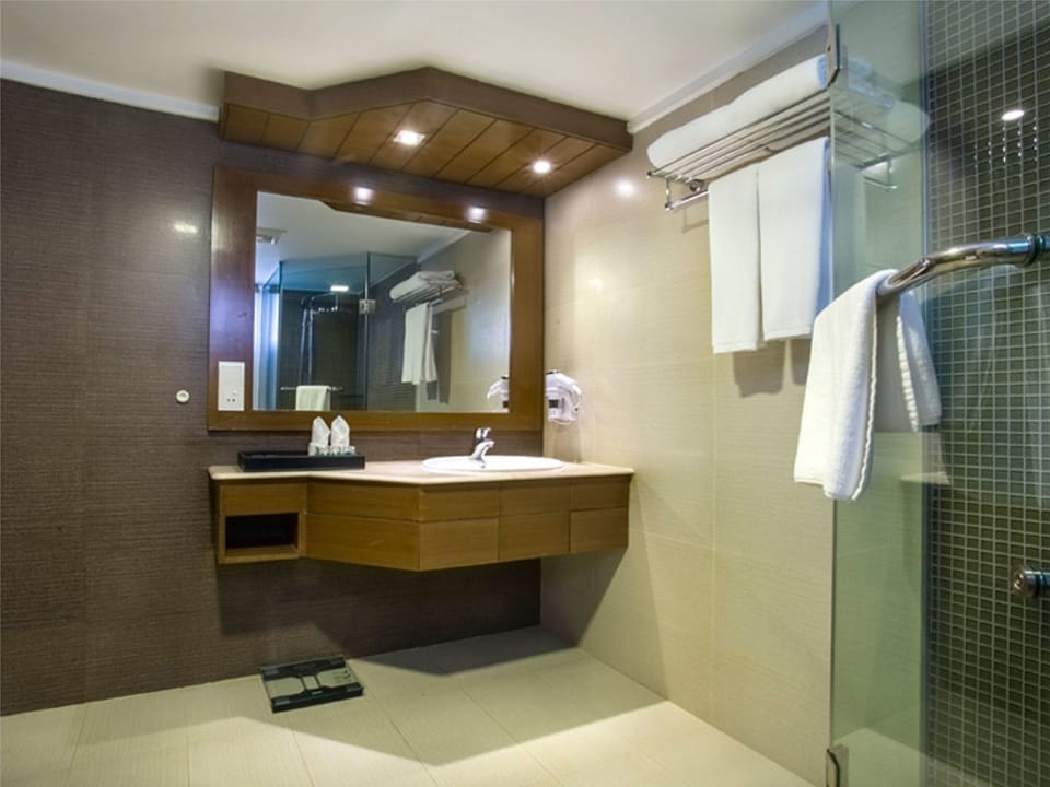 Shower, free toiletries, hair dryer, bathrobes