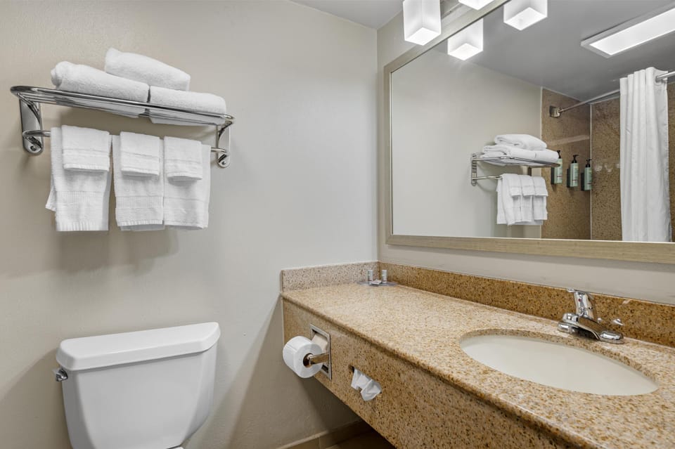 Best Western Center Inn Hotel in Norfolk