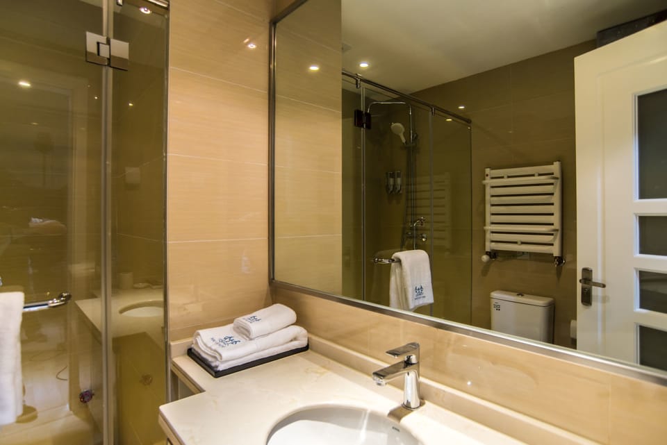 Suite | Bathroom | Shower, free toiletries, hair dryer, slippers