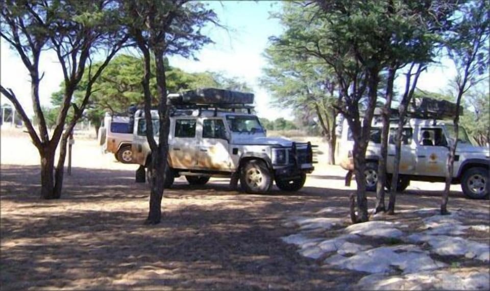 Safari