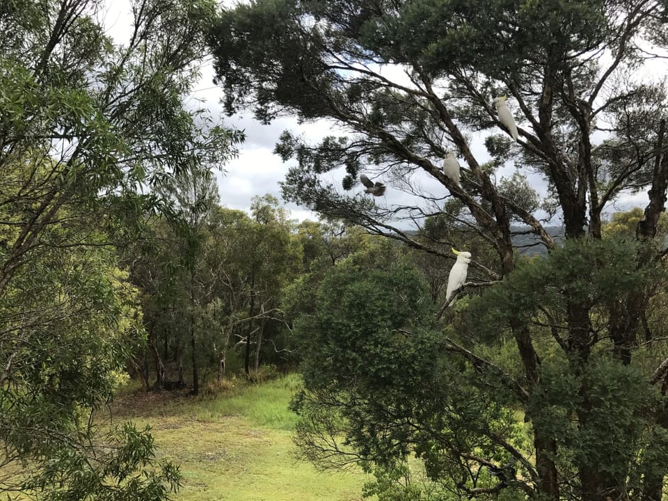 View from property