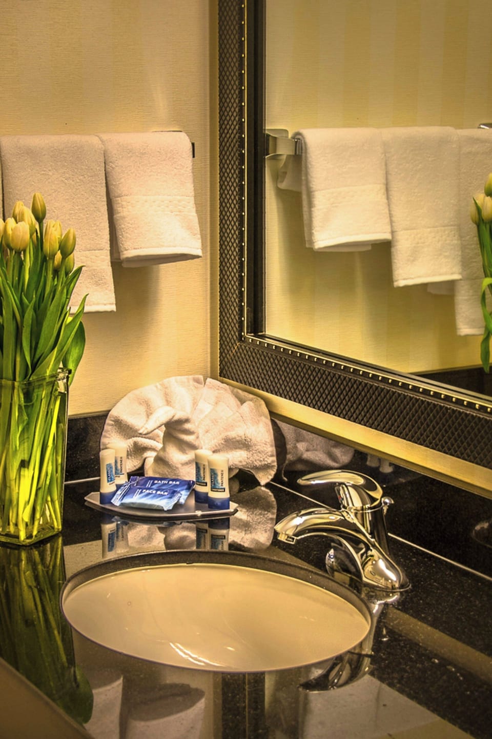 Combined shower/tub, free toiletries, hair dryer, towels