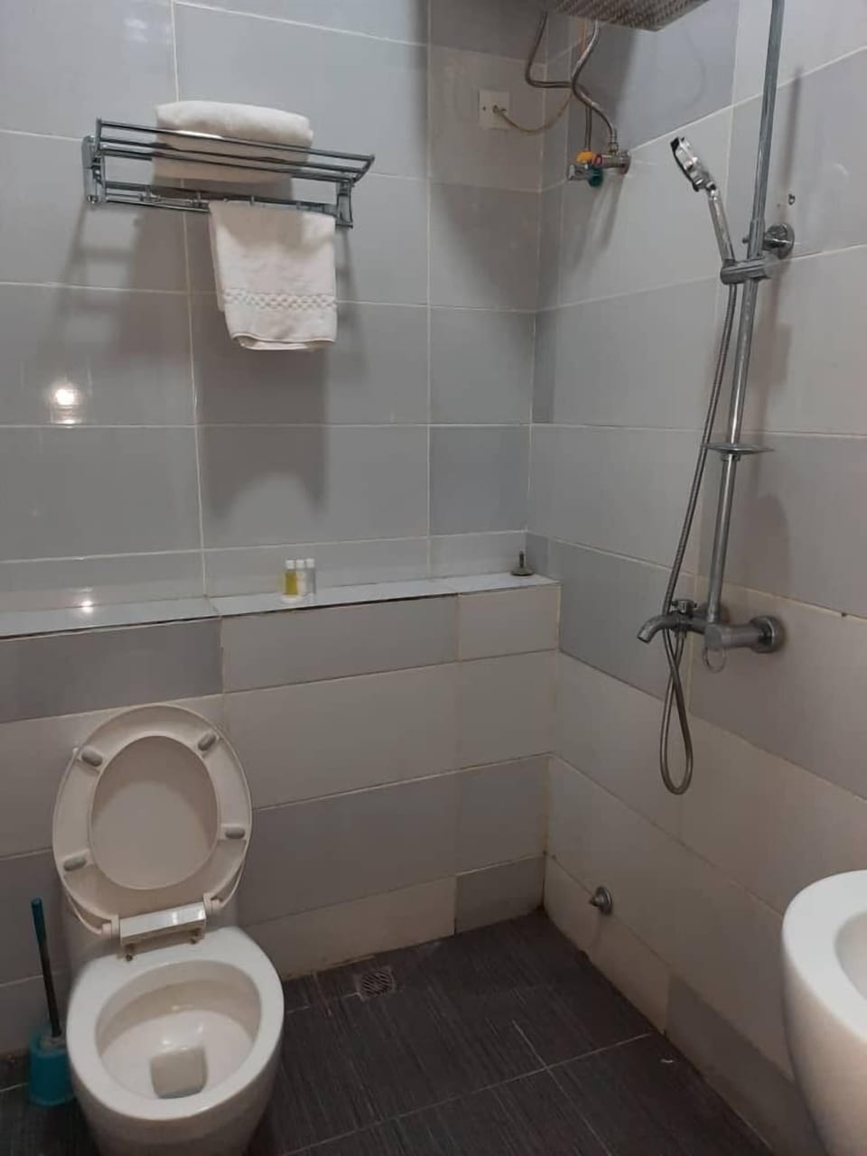 Executive Twin Room | Bathroom | Shower, free toiletries, hair dryer, towels