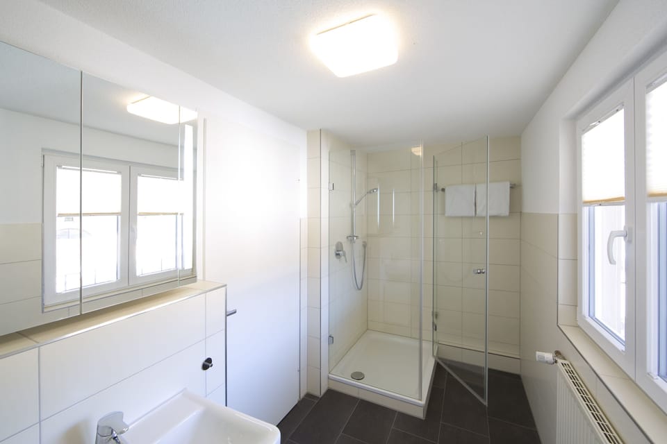 Shower, free toiletries, hair dryer, towels
