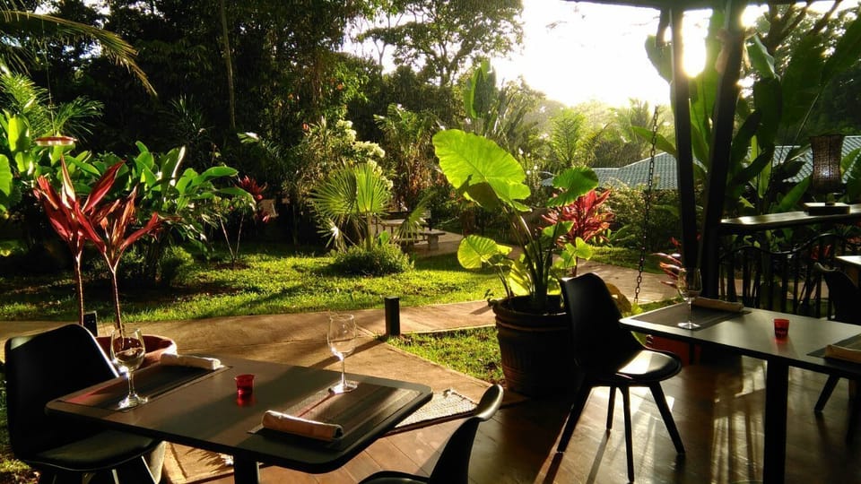 OASIS de las Palmas Hotel in Bahía Ballena
