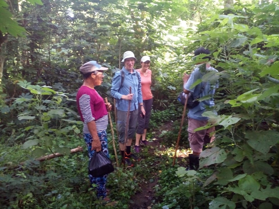 Hiking