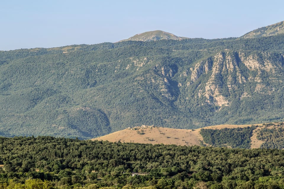 Mountain view